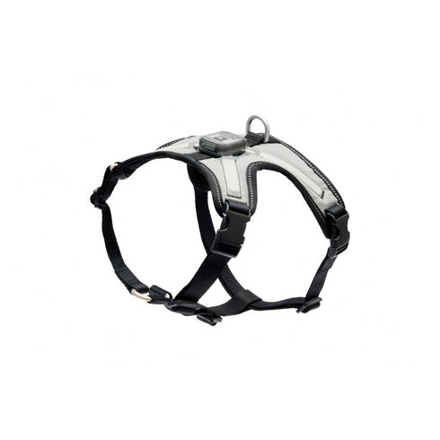 RC PETS Dog Nova LED Light Harness, Black/Grey, M, 20" - 28" - Poudre Pet and Feed Supply